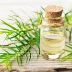 tea tree oil therapy